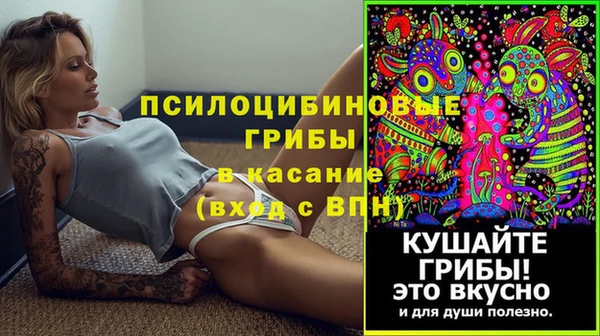 спиды Алзамай