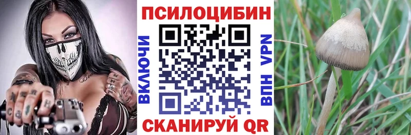 ОМГ ОМГ маркетплейс  Знаменск  Псилоцибиновые грибы мухоморы  цена наркотик 